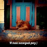     
: h0FEHTk3VLM.jpg
: 12
:	43.2 
ID:	7511940