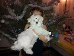     
: 20140110_191250.jpg
: 7
:	155.0 
ID:	7512290