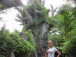     
: IMG_1009.JPG
: 11
:	93.3 
ID:	7513420