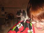     
: IMG_9760.jpg
: 25
:	35.7 
ID:	7513482