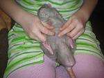     
: IMG_9767.jpg
: 26
:	46.1 
ID:	7513484