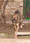     
: DSC_0067.jpg
: 8
:	101.4 
ID:	7514565