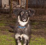     
: DSC_0146.jpg
: 5
:	120.8 
ID:	7514595