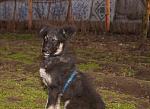     
: DSC_0142.jpg
: 2
:	135.1 
ID:	7514597