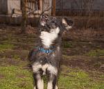    
: DSC_0144.jpg
: 5
:	126.8 
ID:	7514606