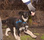     
: DSC_0130.jpg
: 5
:	138.2 
ID:	7514609