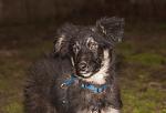     
: DSC_0012.jpg
: 2
:	94.6 
ID:	7514623