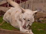     
: DSC_0094.jpg
: 1
:	118.2 
ID:	7514642