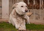     
: DSC_0101.jpg
: 2
:	125.2 
ID:	7514647