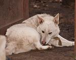     
: DSC_0069.jpg
: 5
:	117.6 
ID:	7514649