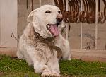     
: DSC_0102.jpg
: 5
:	129.7 
ID:	7514658