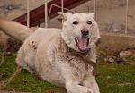     
: DSC_0093.jpg
: 2
:	112.1 
ID:	7514664