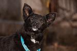    
: DSC_0151.jpg
: 5
:	73.6 
ID:	7514696