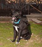     
: DSC_0122.jpg
: 4
:	150.1 
ID:	7514699