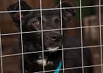     
: DSC_0111.jpg
: 4
:	89.1 
ID:	7514701