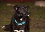     
: DSC_0105.jpg
: 5
:	82.6 
ID:	7514702