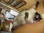     
: IMG_0008.jpg
: 29
:	126.8 
ID:	7514944