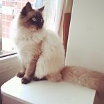     
: 9CQi9SDGI5w.jpg
: 11
:	48.0 
ID:	7515123