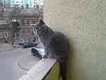     
: 2014-01-13 15.03.30.jpg
: 23
:	138.9 
ID:	7517452