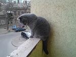     
: 2014-01-13 15.03.25.jpg
: 15
:	138.0 
ID:	7517453