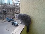     
: 2014-01-13 15.04.24.jpg
: 20
:	140.4 
ID:	7517454