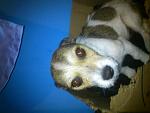     
: DSC_0593.jpg
: 8
:	94.1 
ID:	7518605