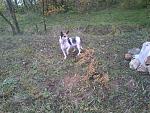    
: DSC_0506.jpg
: 7
:	273.2 
ID:	7518608