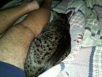     
: IMG068.jpg
: 7
:	189.7 
ID:	7520026