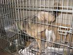     
: IMG_8544.jpg
: 9
:	202.6 
ID:	7524590