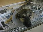     
: IMG_8547.jpg
: 11
:	132.3 
ID:	7524715