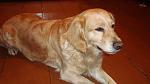     
: DSC09575.jpg
: 15
:	84.0 
ID:	7524728