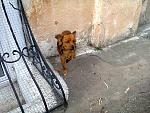     
: Фото0452.jpg
: 15
:	258.3 
ID:	7527863