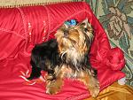     
: IMG_2382.jpg
: 57
:	213.7 
ID:	752922
