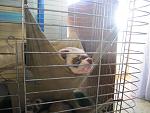     
: IMG_1518.jpg
: 11
:	110.0 
ID:	7535037