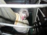     
: IMG_1519.jpg
: 12
:	117.1 
ID:	7535038