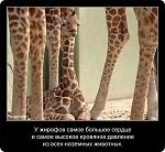     
: 692485_original.jpg
: 6
:	44.9 
ID:	7536573