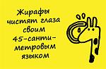     
: dccf77439bac.jpg
: 6
:	39.1 
ID:	7536576
