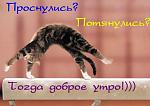     
: dobroe_utro (55).jpg
: 4
:	48.8 
ID:	7536859