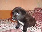     
: DSC09582.jpg
: 6
:	214.4 
ID:	7543372