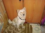     
: DSC09593.jpg
: 6
:	113.7 
ID:	7543373