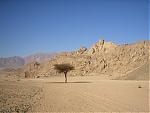     
:  018_thumb.jpg
: 56
:	139.2 
ID:	75452