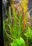     
: DSC_0702.jpg
: 7
:	119.7 
ID:	7545874