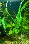     
: DSC_4522.jpg
: 5
:	113.8 
ID:	7545904
