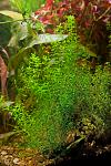     
: DSC_8400.jpg
: 5
:	136.0 
ID:	7545972