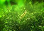     
: DSC_5077.jpg
: 7
:	101.9 
ID:	7546260