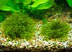     
: DSC_0722.jpg
: 5
:	181.8 
ID:	7546262