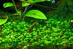     
: DSC_8419.jpg
: 8
:	110.7 
ID:	7546290