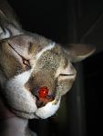     
: IMG_2837.jpg
: 9
:	69.8 
ID:	7547645