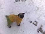     
: 21012010513.jpg
: 45
:	109.5 
ID:	754767