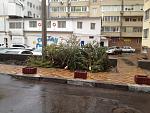     
: IMG_0837.JPG
: 36
:	272.1 
ID:	7551084